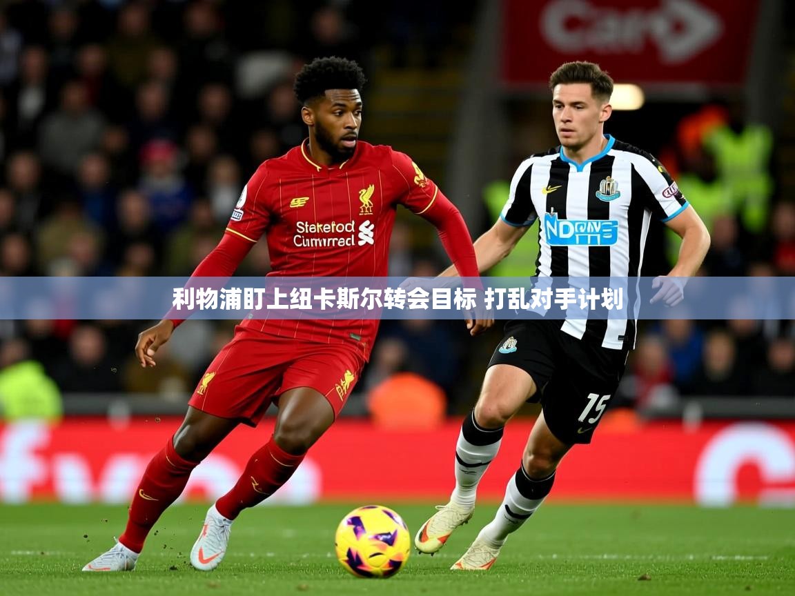 利物浦盯上纽卡斯尔转会目标 打乱对手计划