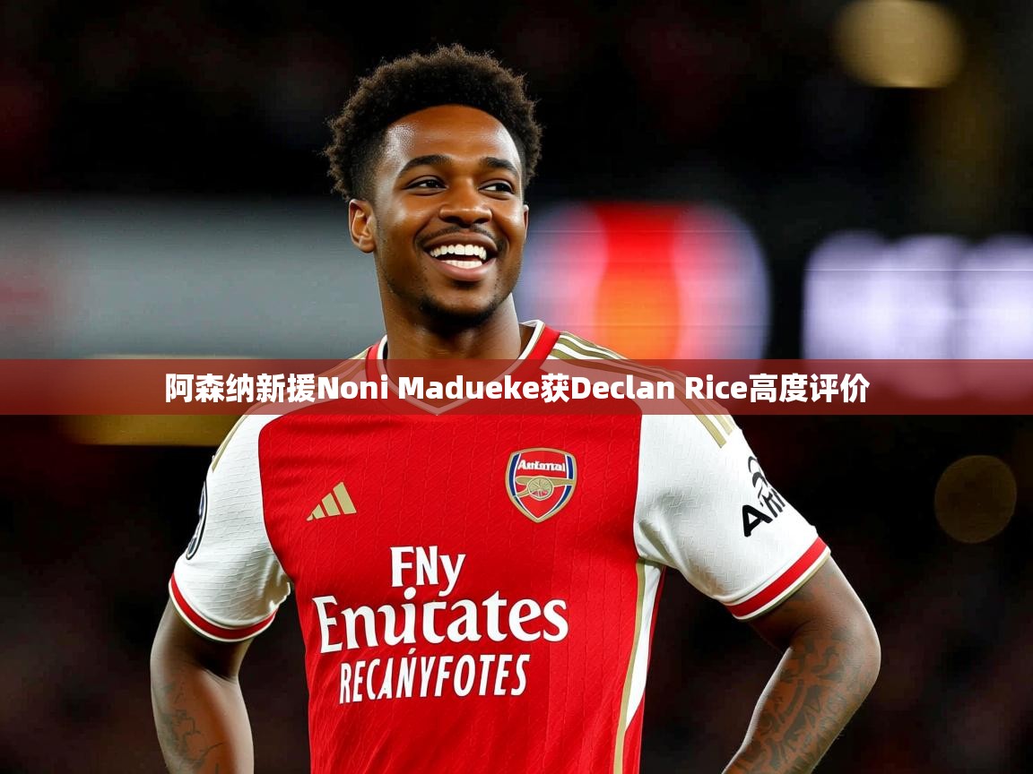 阿森纳新援Noni Madueke获Declan Rice高度评价