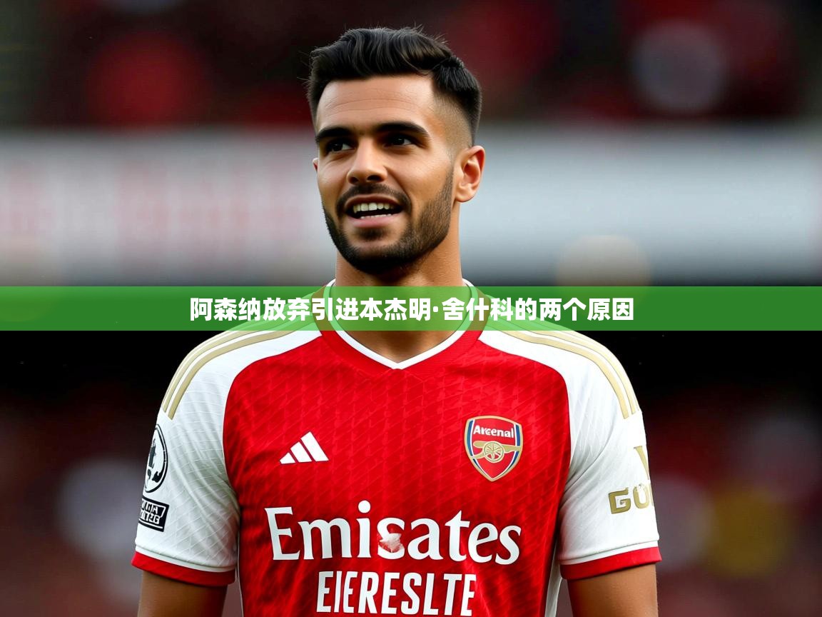 阿森纳放弃引进本杰明·舍什科的两个原因