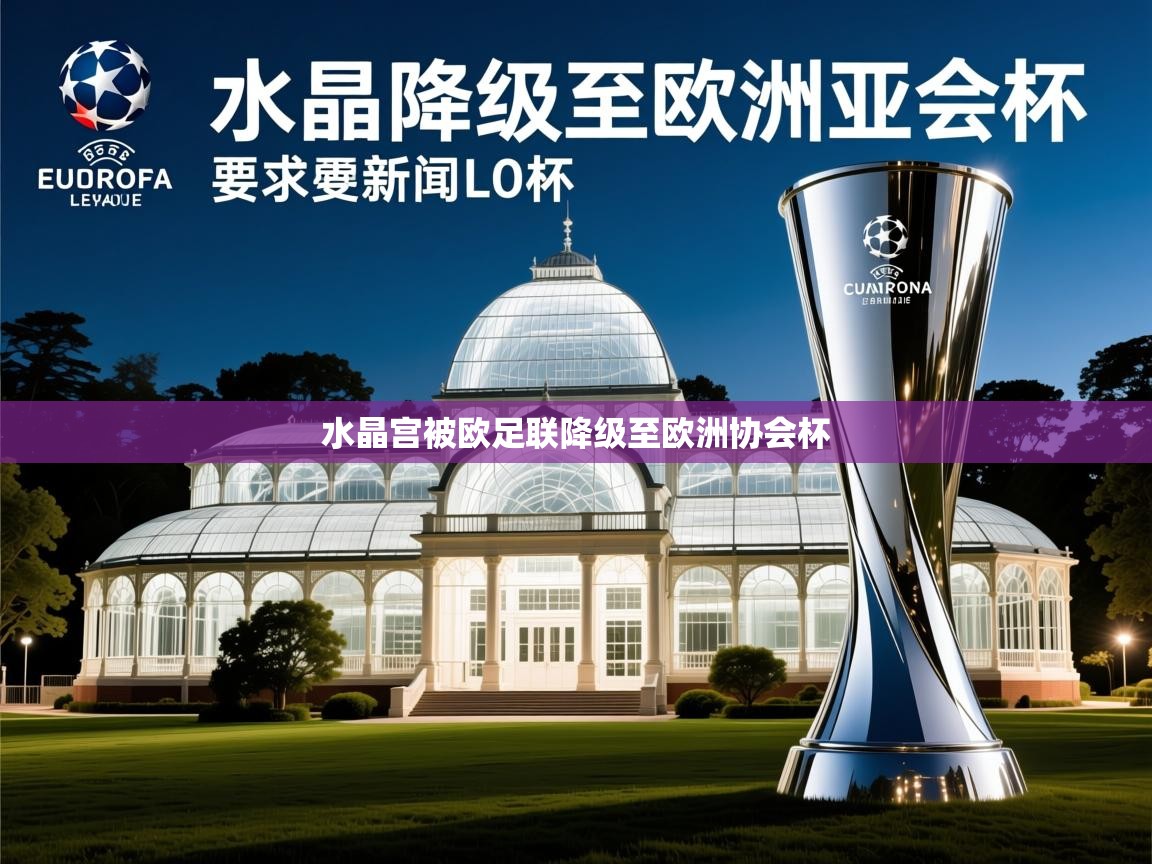 水晶宫被欧足联降级至欧洲协会杯 水晶宫被欧足联降级至欧洲协会杯