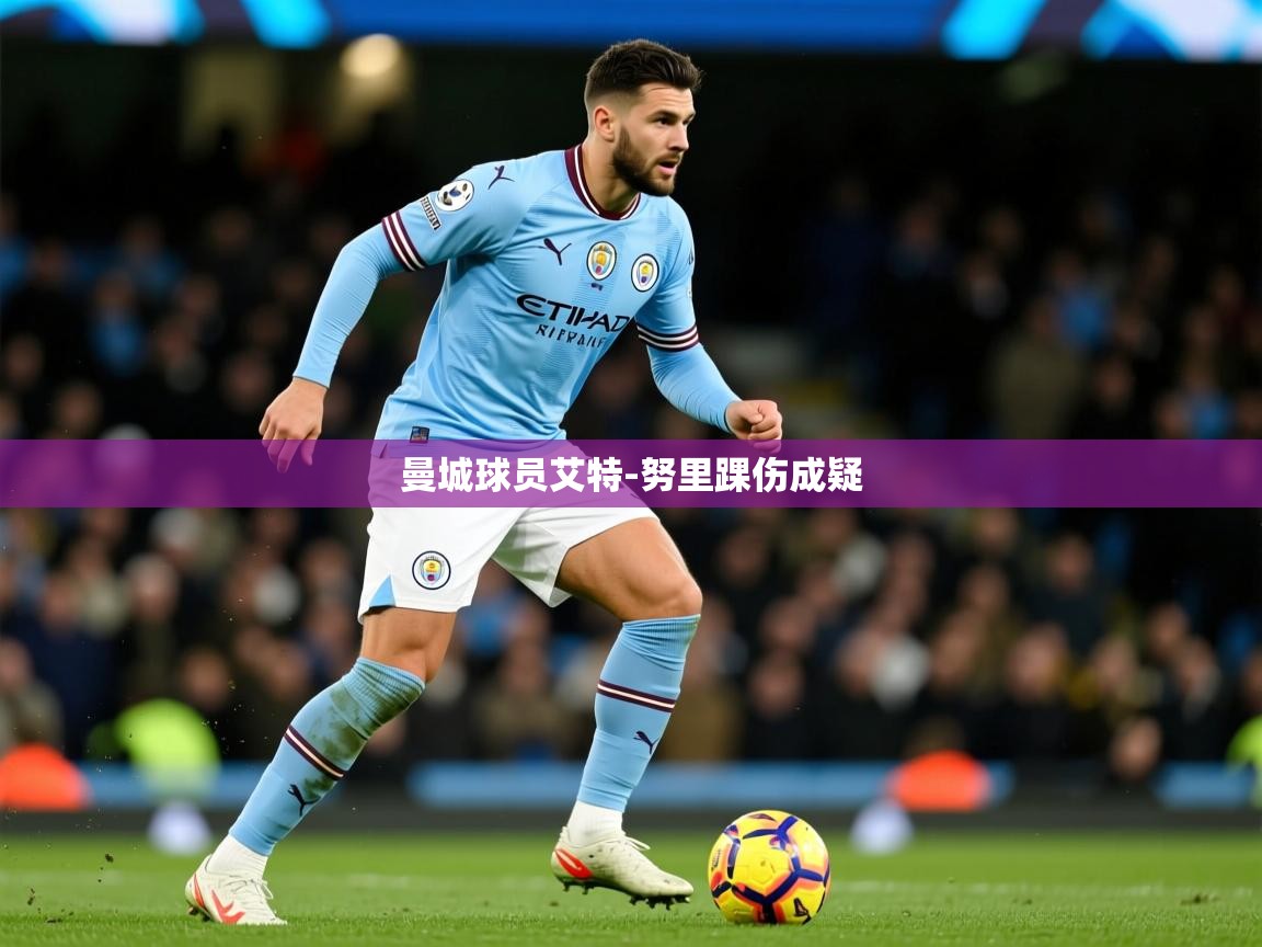 曼城球员艾特-努里踝伤成疑