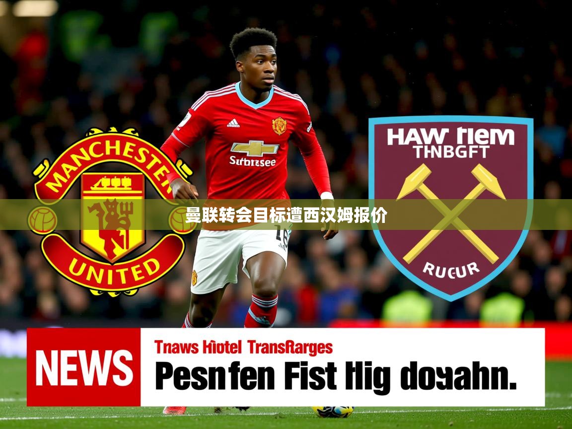 曼联转会目标遭西汉姆报价 曼联转会目标遭西汉姆报价