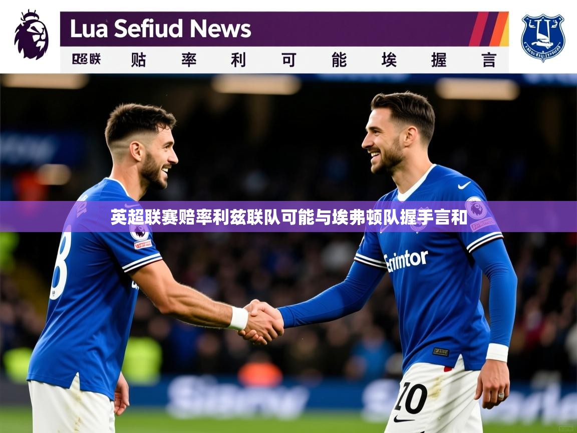 英超联赛赔率利兹联队可能与埃弗顿队握手言和