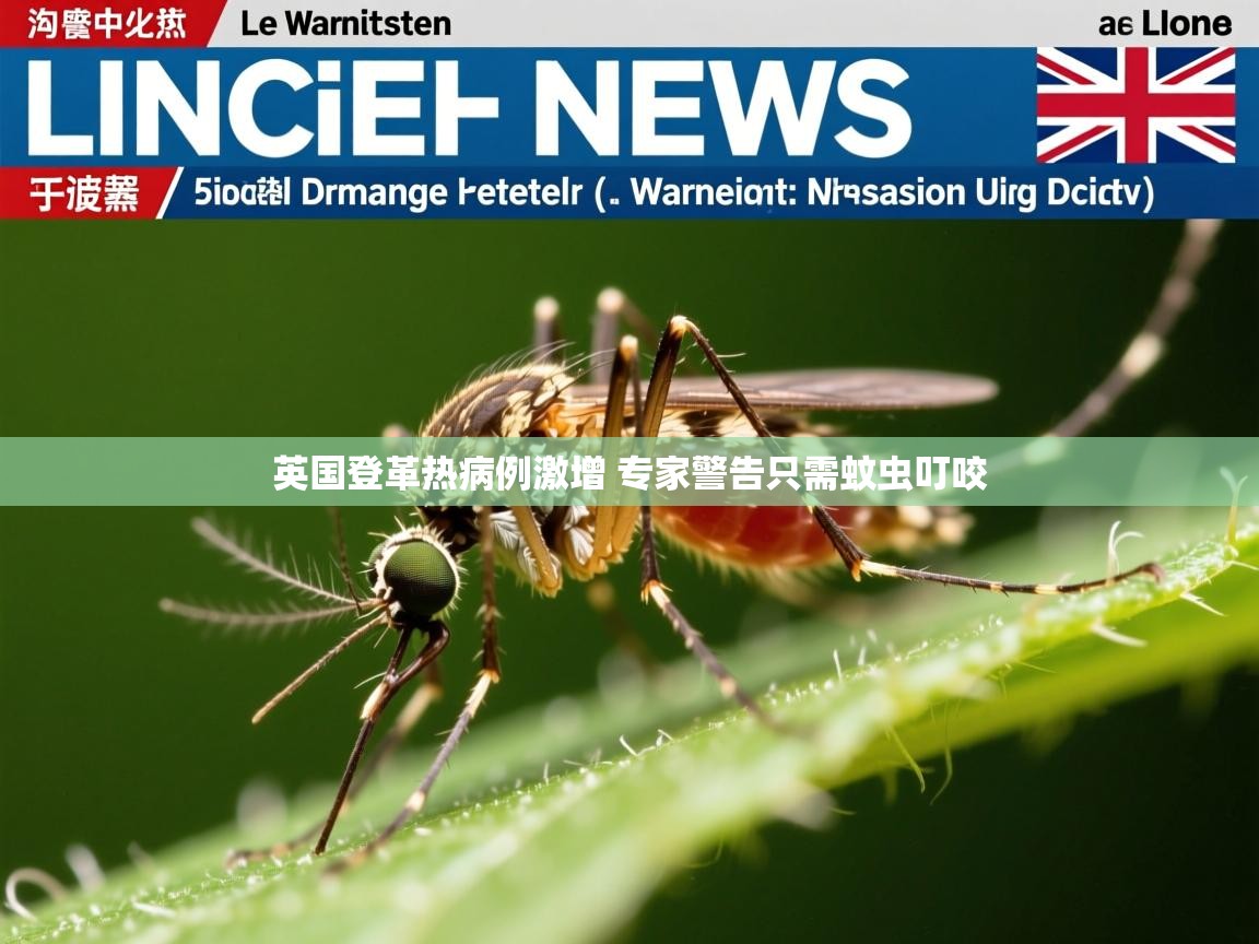 英国登革热病例激增 专家警告只需蚊虫叮咬 英国登革热病例激增 专家警告只需蚊虫叮咬