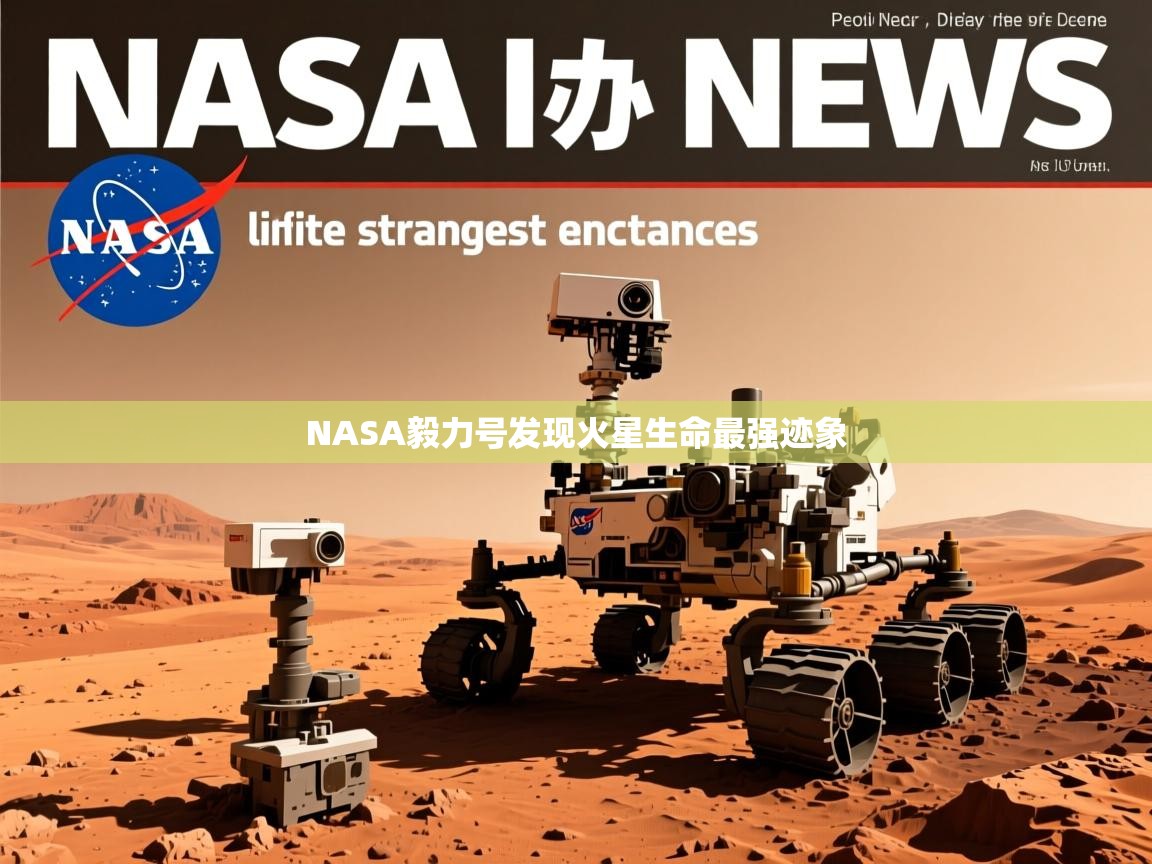 NASA毅力号发现火星生命最强迹象 NASA毅力号发现火星生命最强迹象