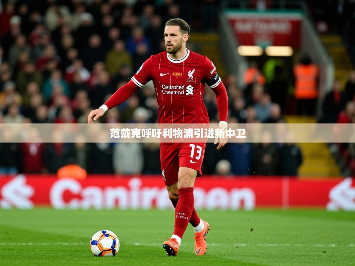 范戴克呼吁利物浦引进新中卫