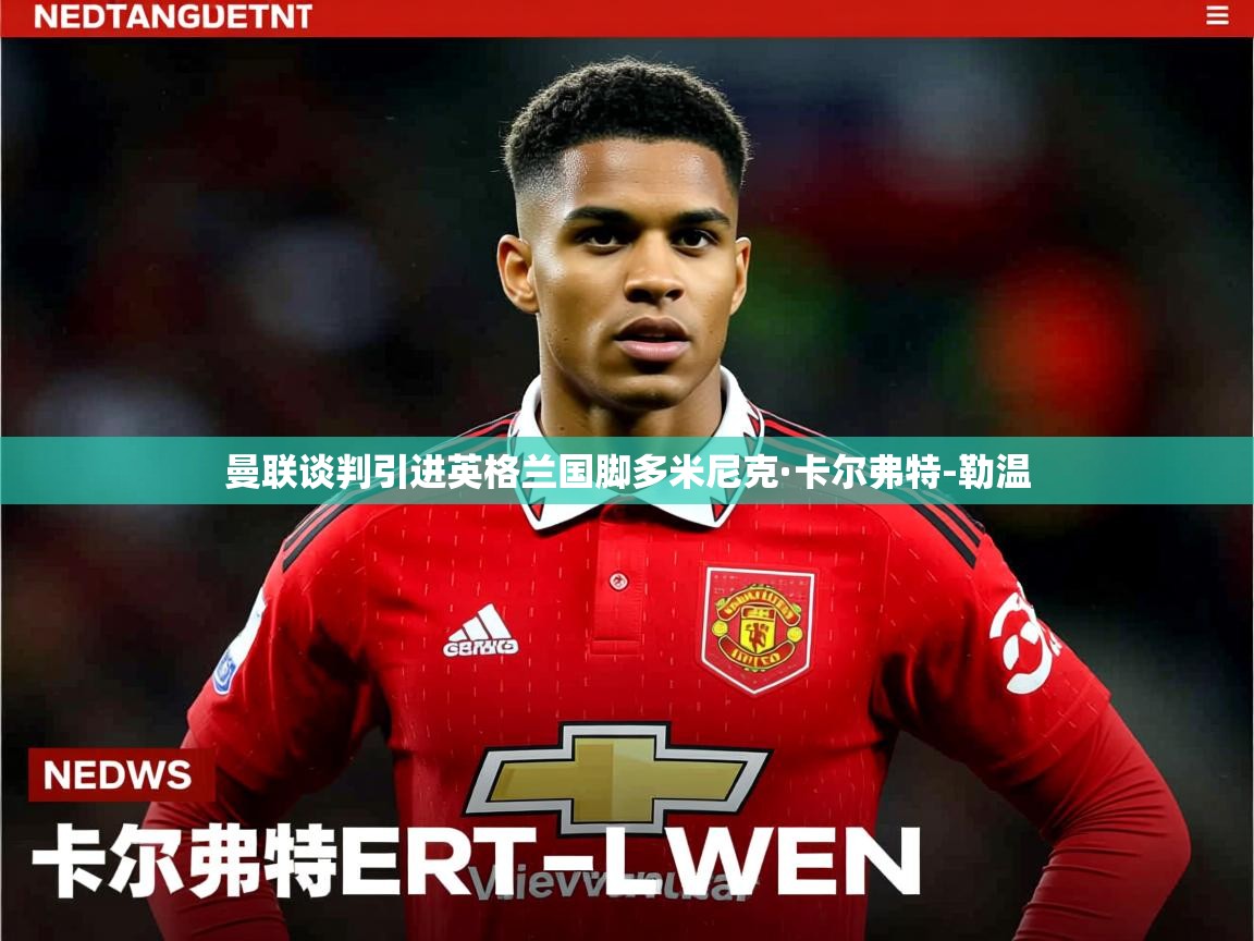 曼联谈判引进英格兰国脚多米尼克·卡尔弗特-勒温 曼联谈判引进英格兰国脚多米尼克·卡尔弗特-勒温