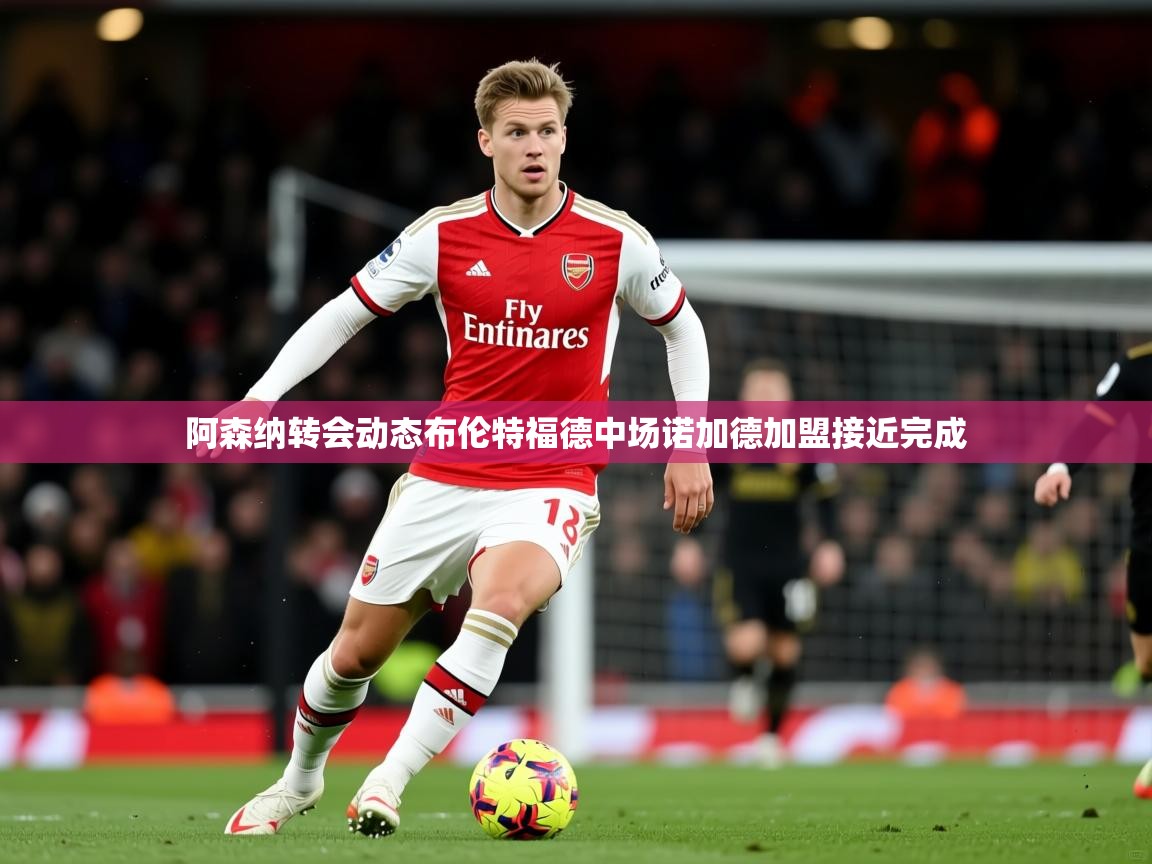 阿森纳转会动态布伦特福德中场诺加德加盟接近完成 阿森纳转会动态布伦特福德中场诺加德加盟接近完成